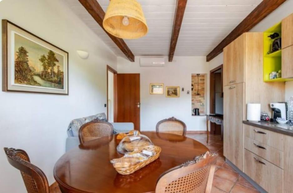 Villa Gallina Barbaresco Ngoại thất bức ảnh